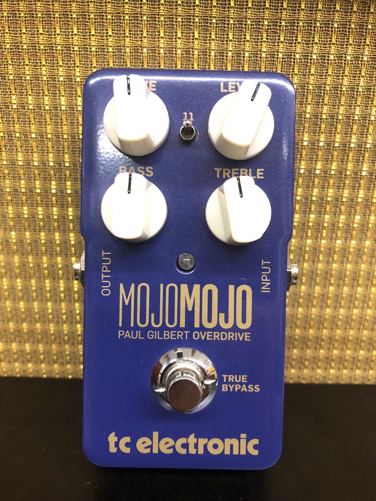 mojomojo_paul_gilbert